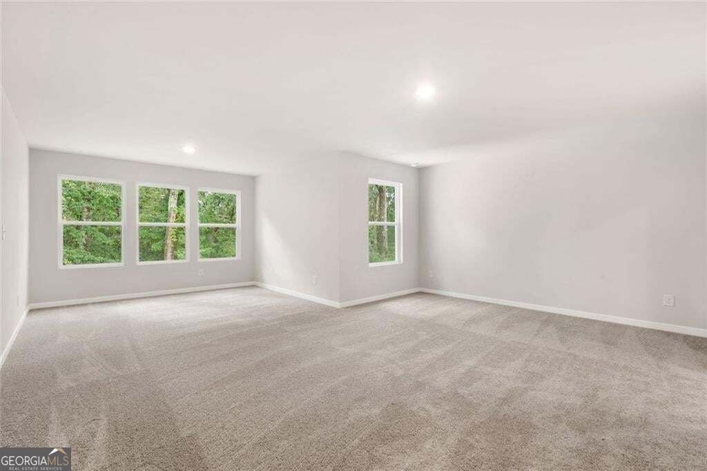 405 Amberleaf Cove McDonough - Photo 16