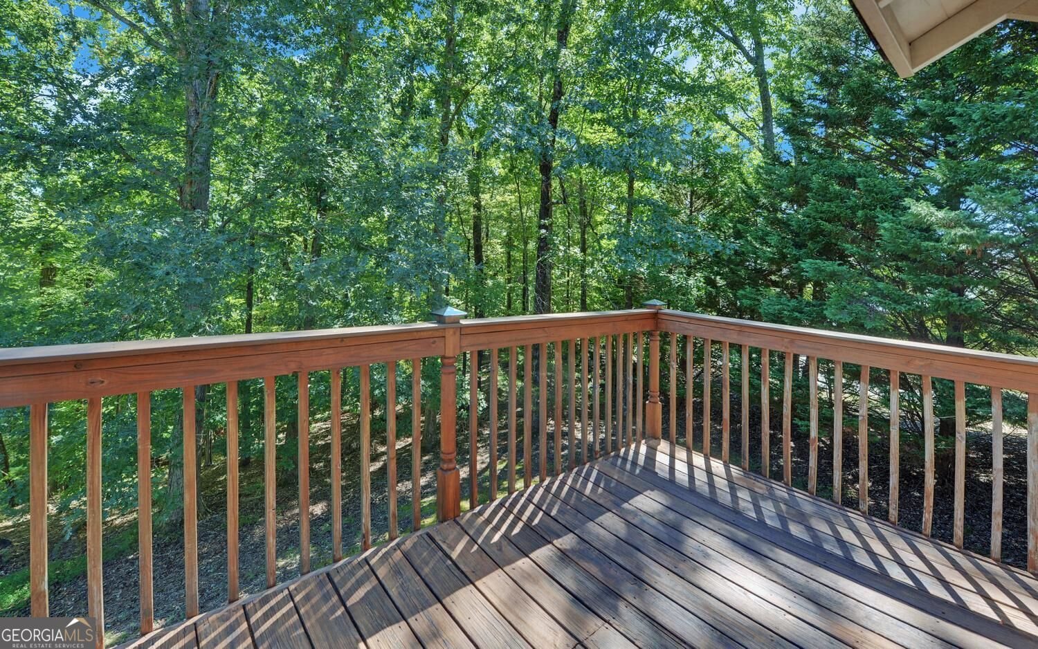 447 Emerald Ridge Dahlonega - Photo 39