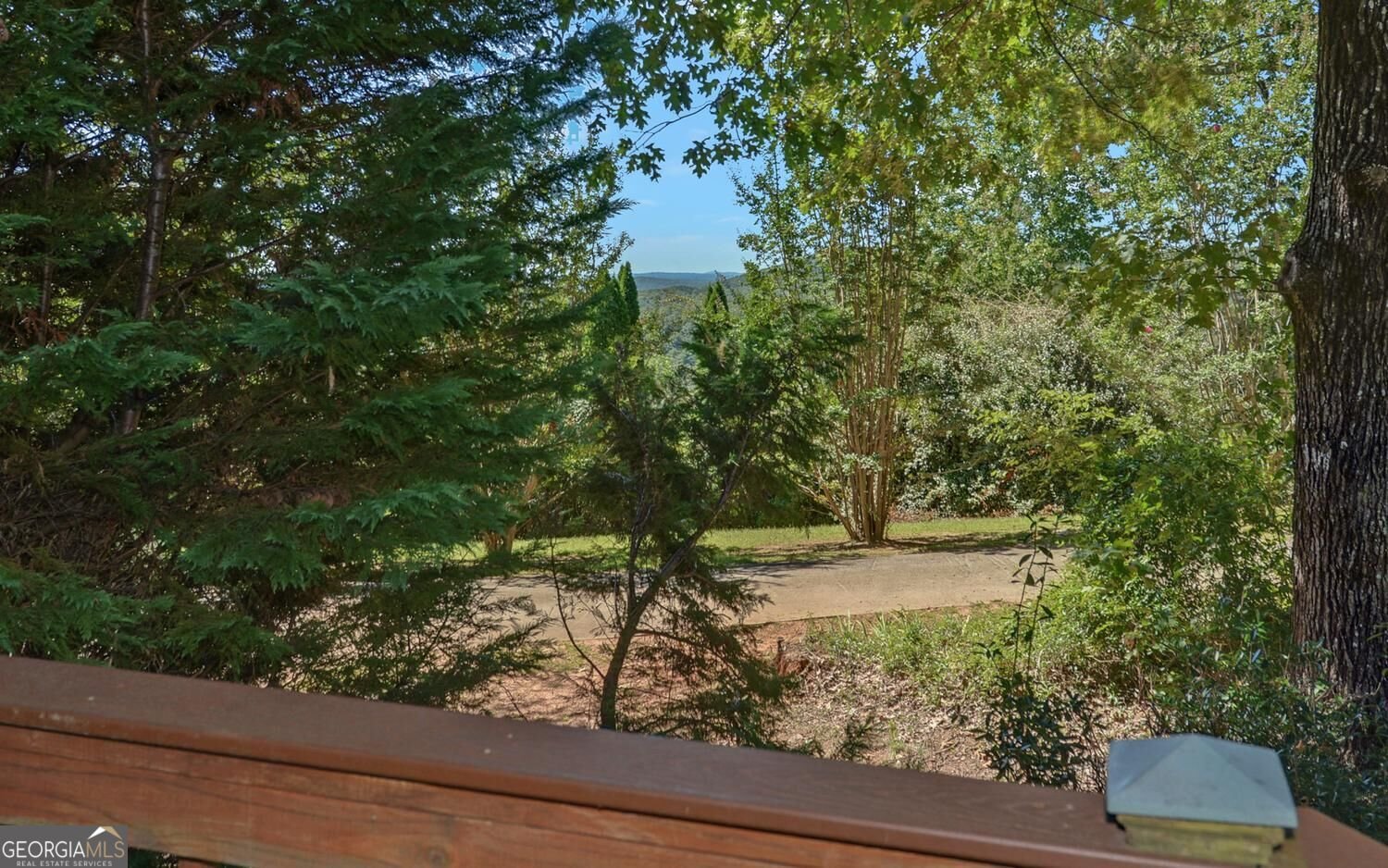 447 Emerald Ridge Dahlonega - Photo 40