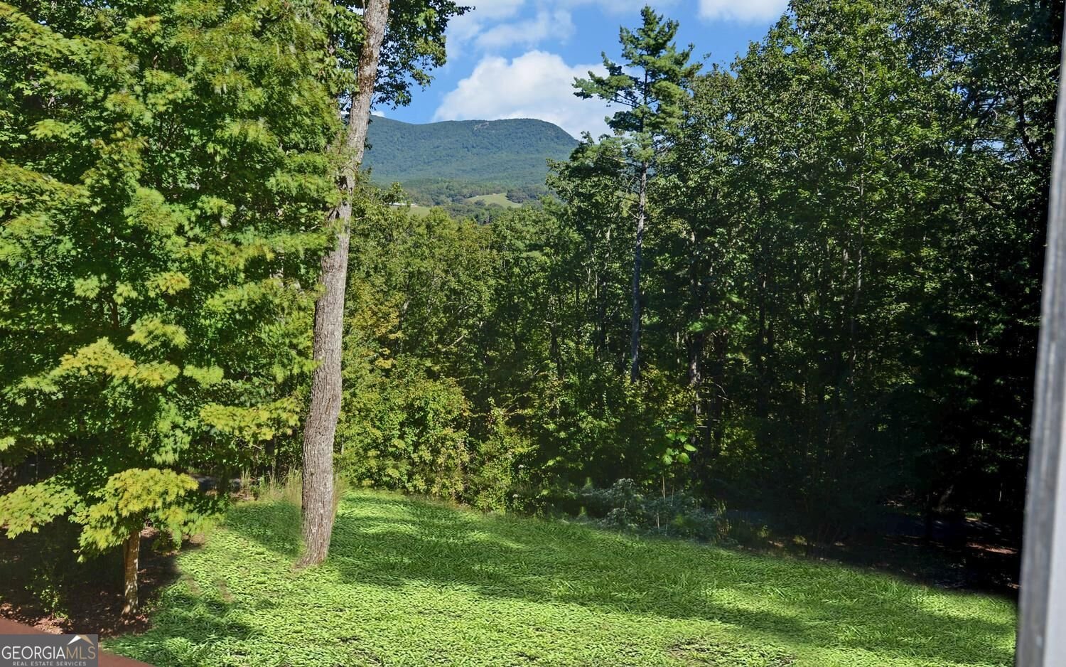 447 Emerald Ridge Dahlonega - Photo 41