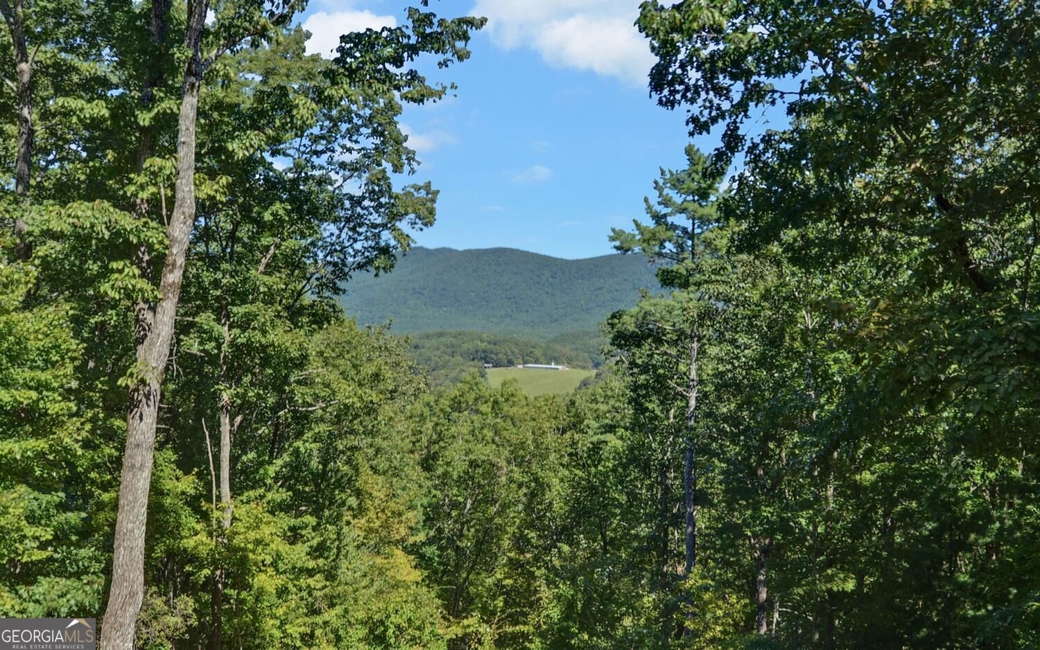 447 Emerald Ridge Dahlonega - Photo 42