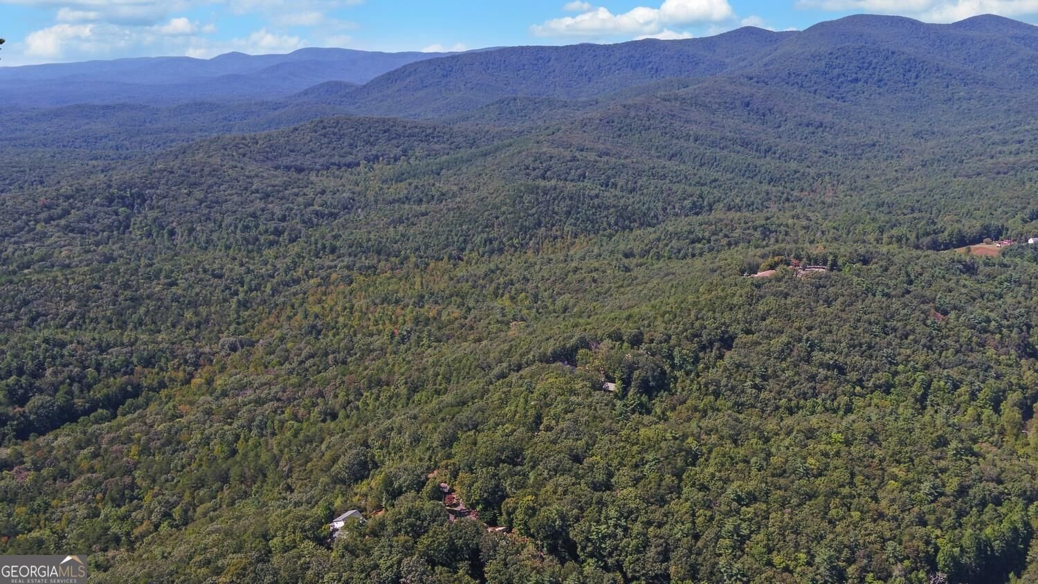 447 Emerald Ridge Dahlonega - Photo 84