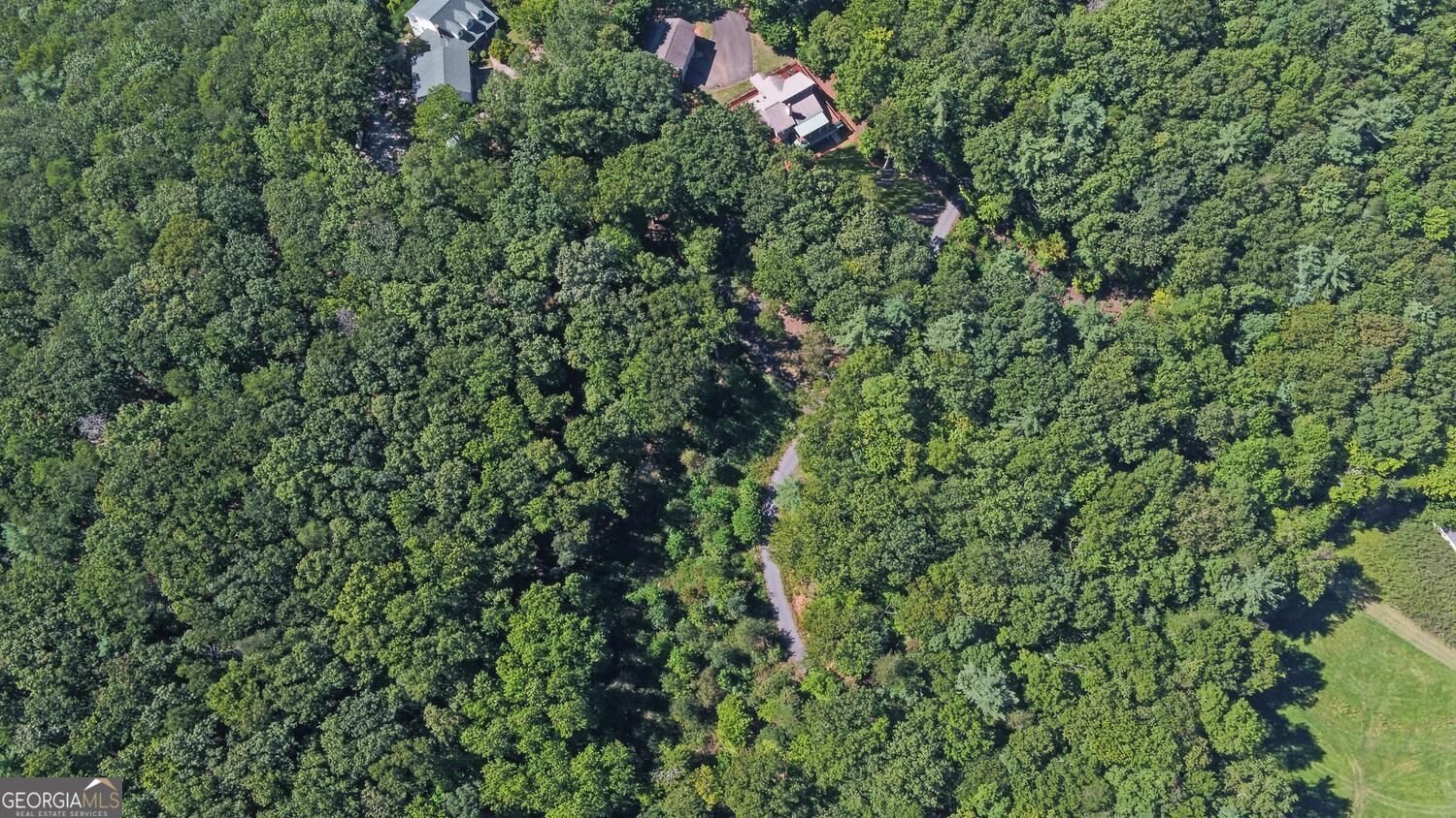 447 Emerald Ridge Dahlonega - Photo 85