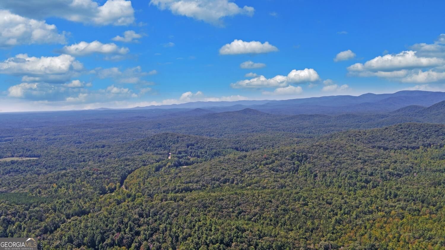 447 Emerald Ridge Dahlonega - Photo 86