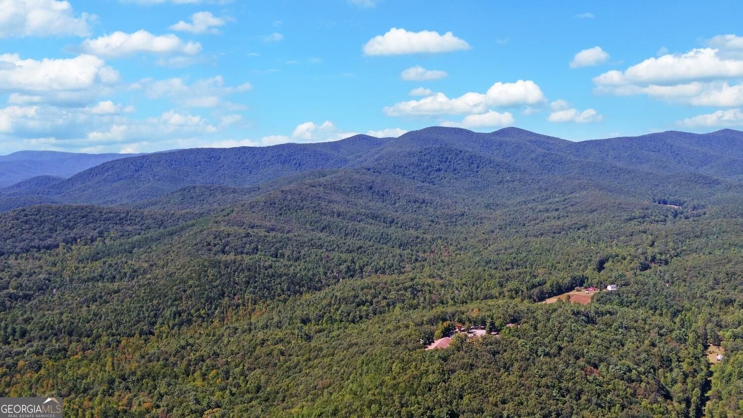 447 Emerald Ridge Dahlonega - Photo 88