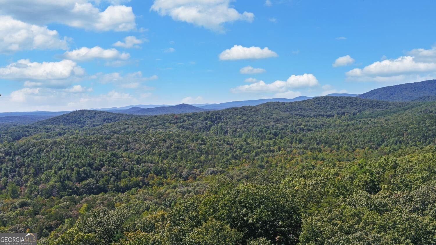 447 Emerald Ridge Dahlonega - Photo 92