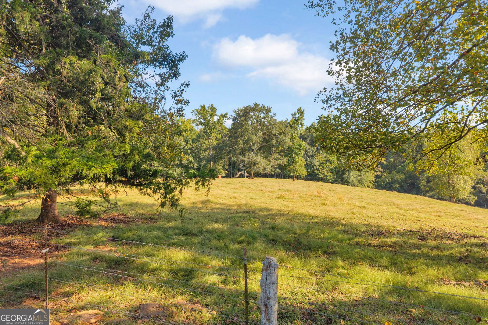 367 Griffin Road Martin - Photo 31