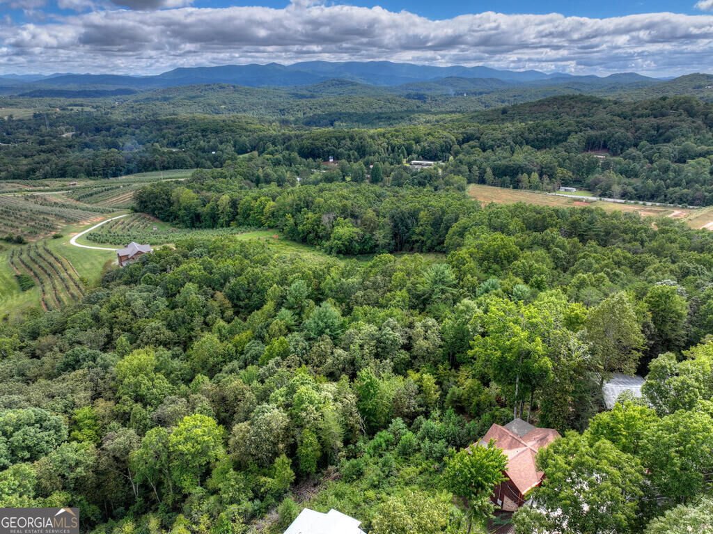 411 Highland Circle Blue Ridge - Photo 18