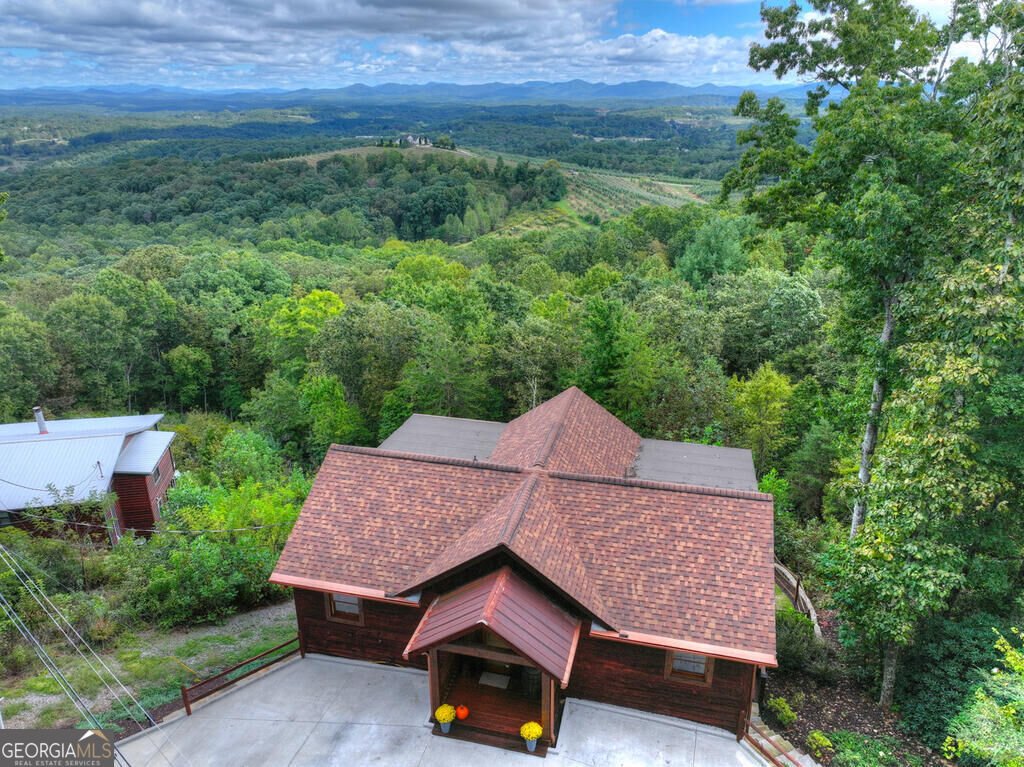 411 Highland Circle Blue Ridge - Photo 20