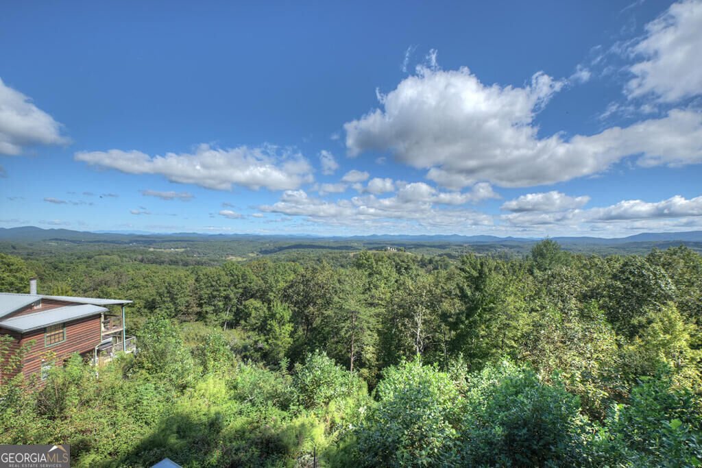 411 Highland Circle Blue Ridge - Photo 21