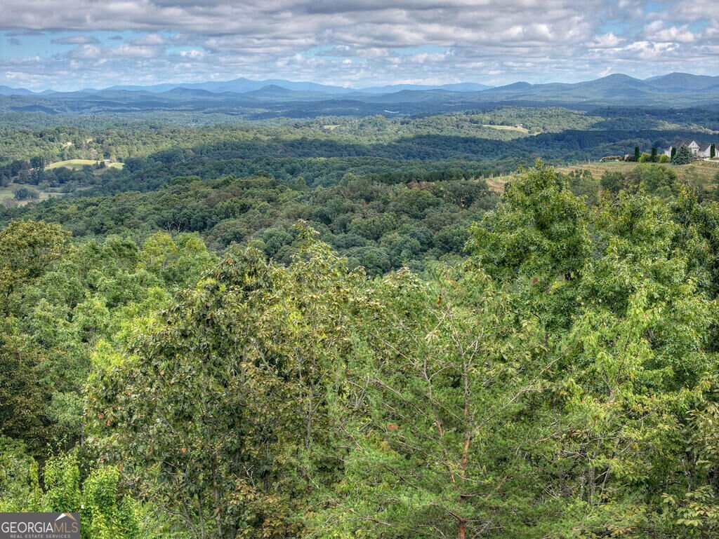 411 Highland Circle Blue Ridge - Photo 23