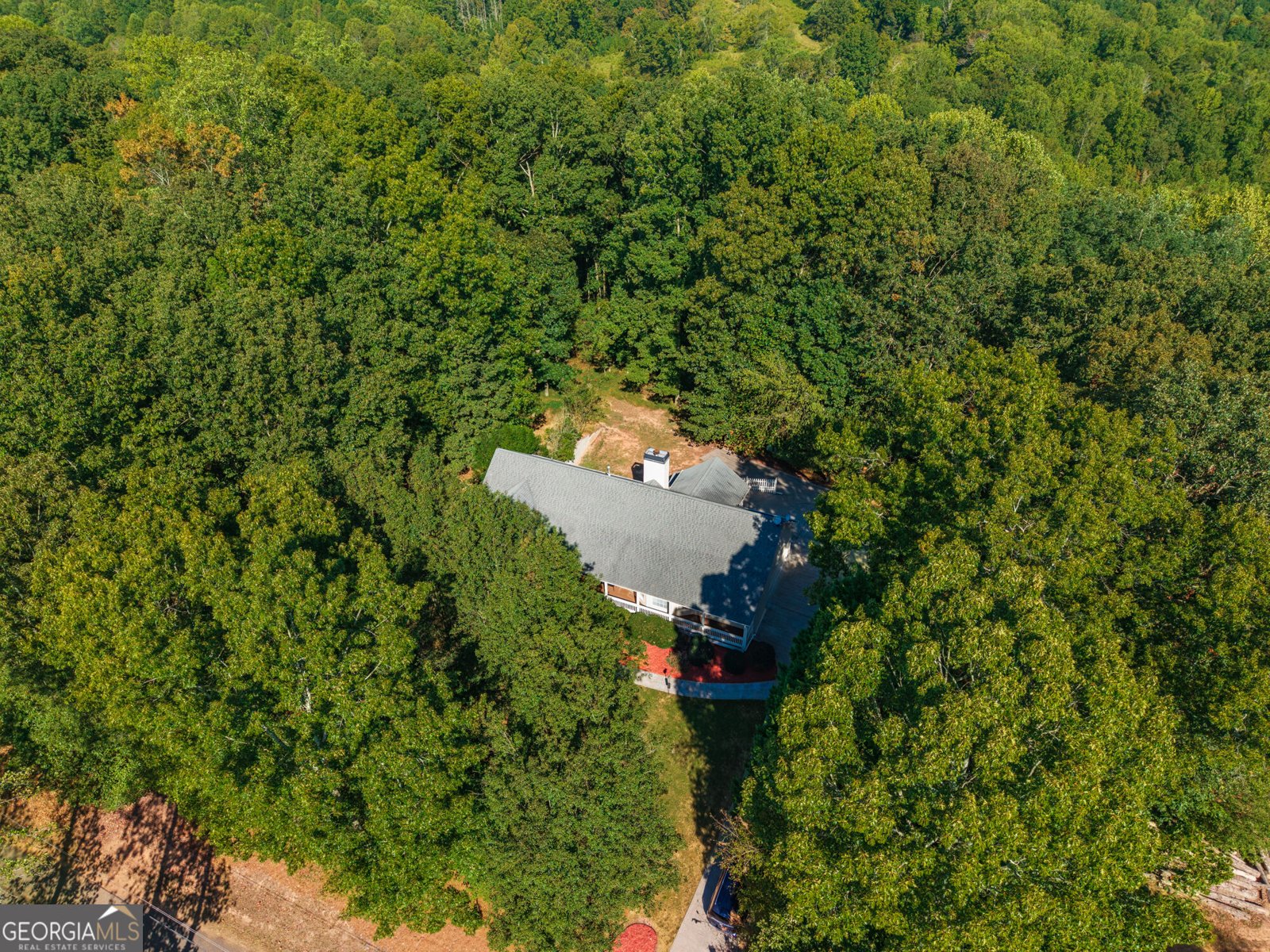 755 Old Hornage Road Ball Ground - Photo 38