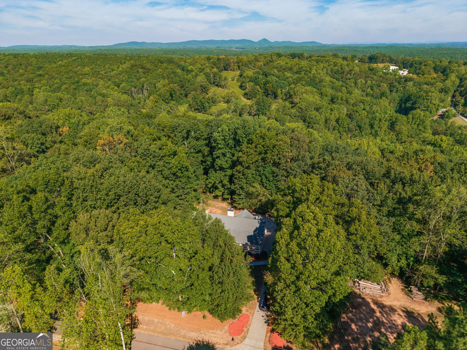 755 Old Hornage Road Ball Ground - Photo 39