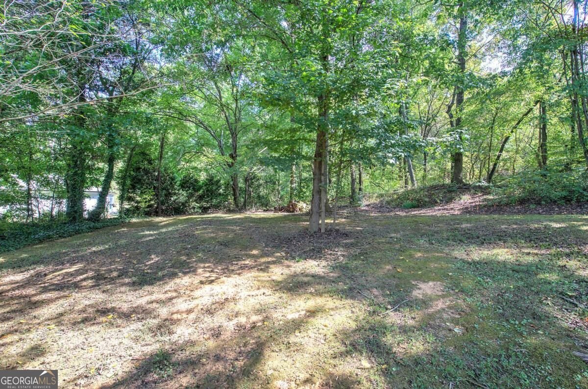 15 Willow Wood Lane Cartersville - Photo 48