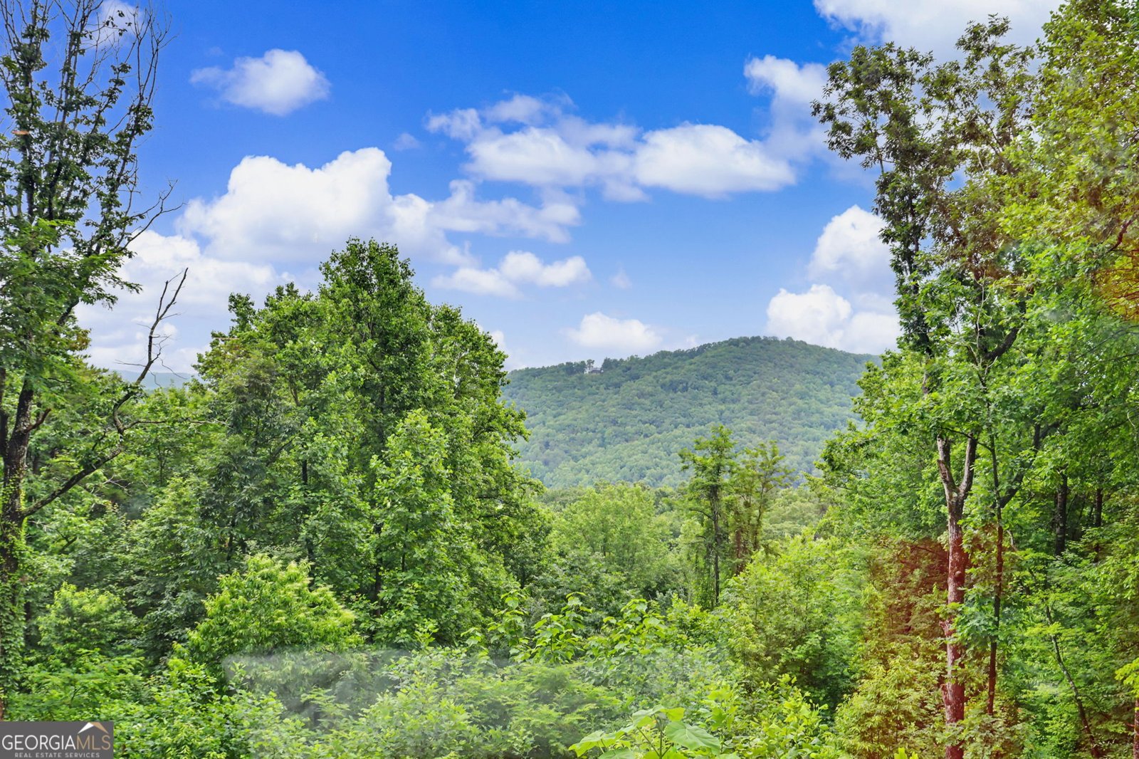 2 Linderhof Lane Clayton - Photo 38