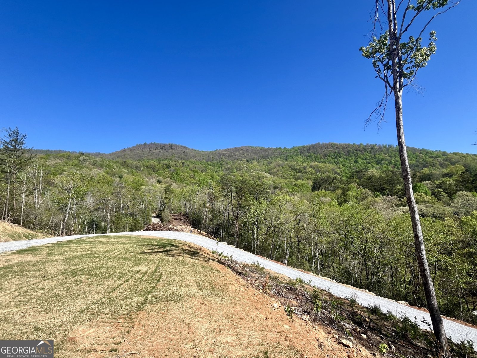 2 Linderhof Lane Clayton - Photo 43