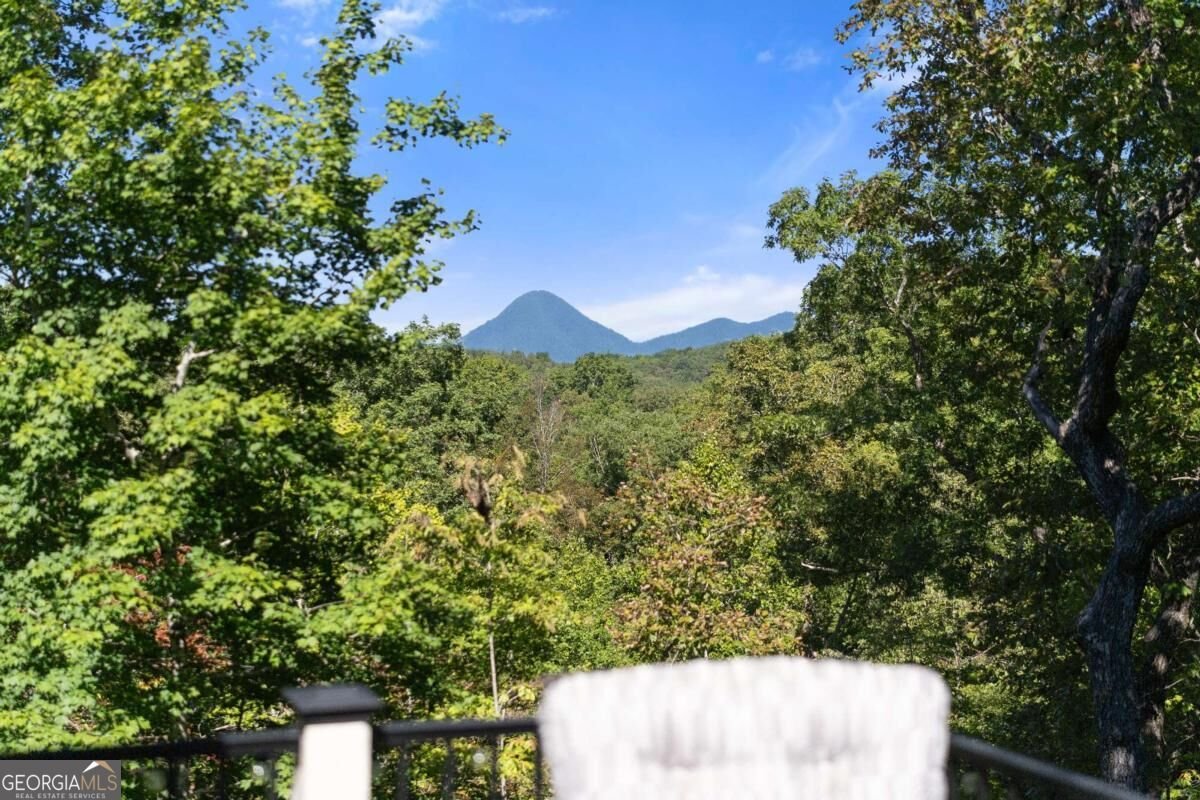 26 Placer Drive Dahlonega - Photo 60