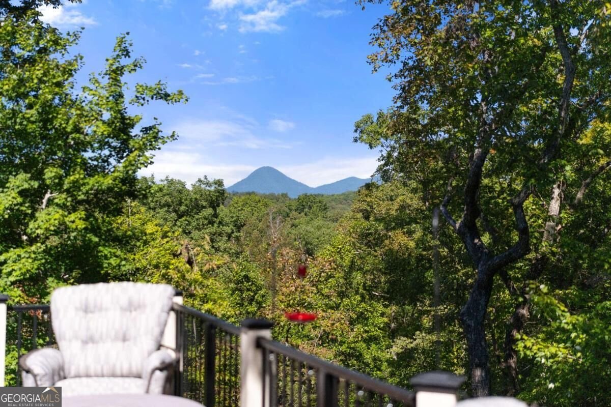 26 Placer Drive Dahlonega - Photo 61