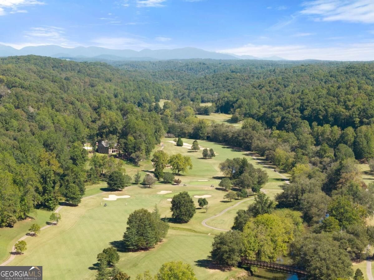 26 Placer Drive Dahlonega - Photo 81