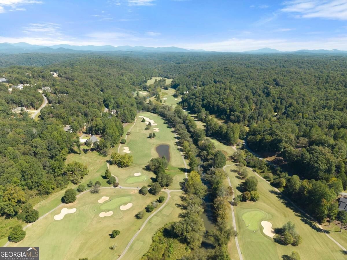 26 Placer Drive Dahlonega - Photo 82