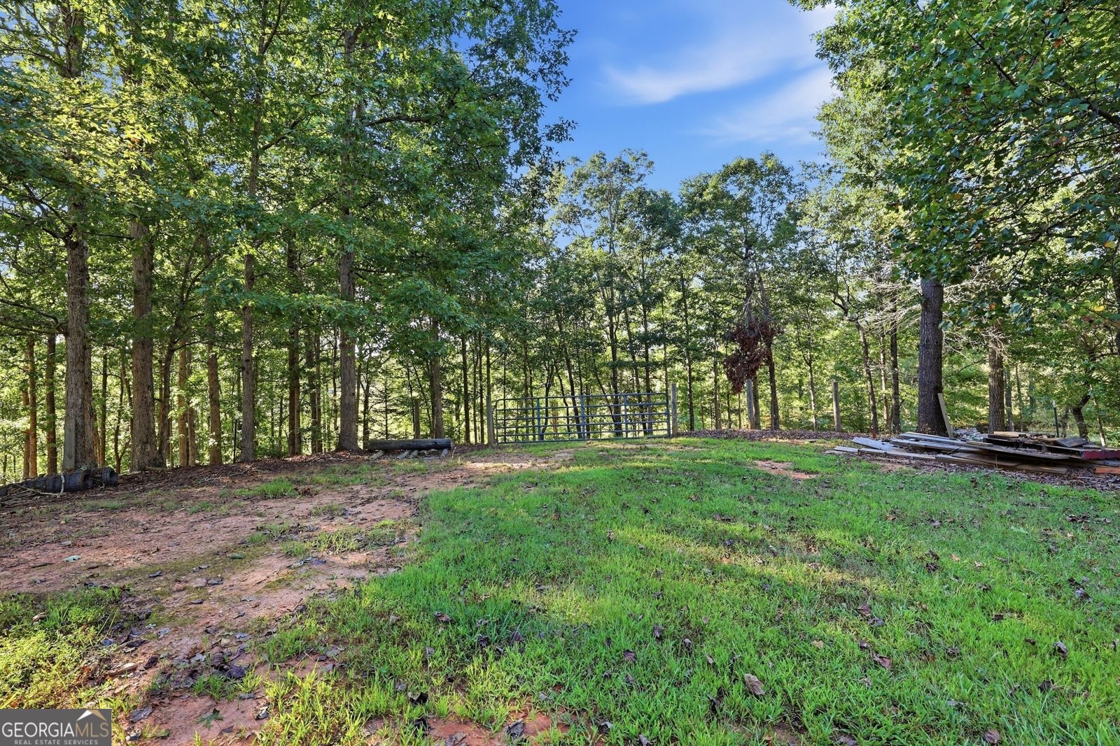 1133 Ricky West Road Cleveland - Photo 53