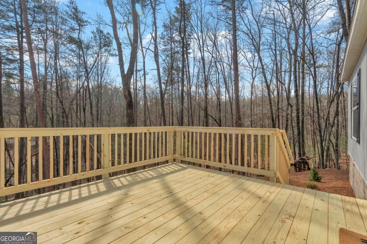 136 Poplar Drive Dawsonville - Photo 64