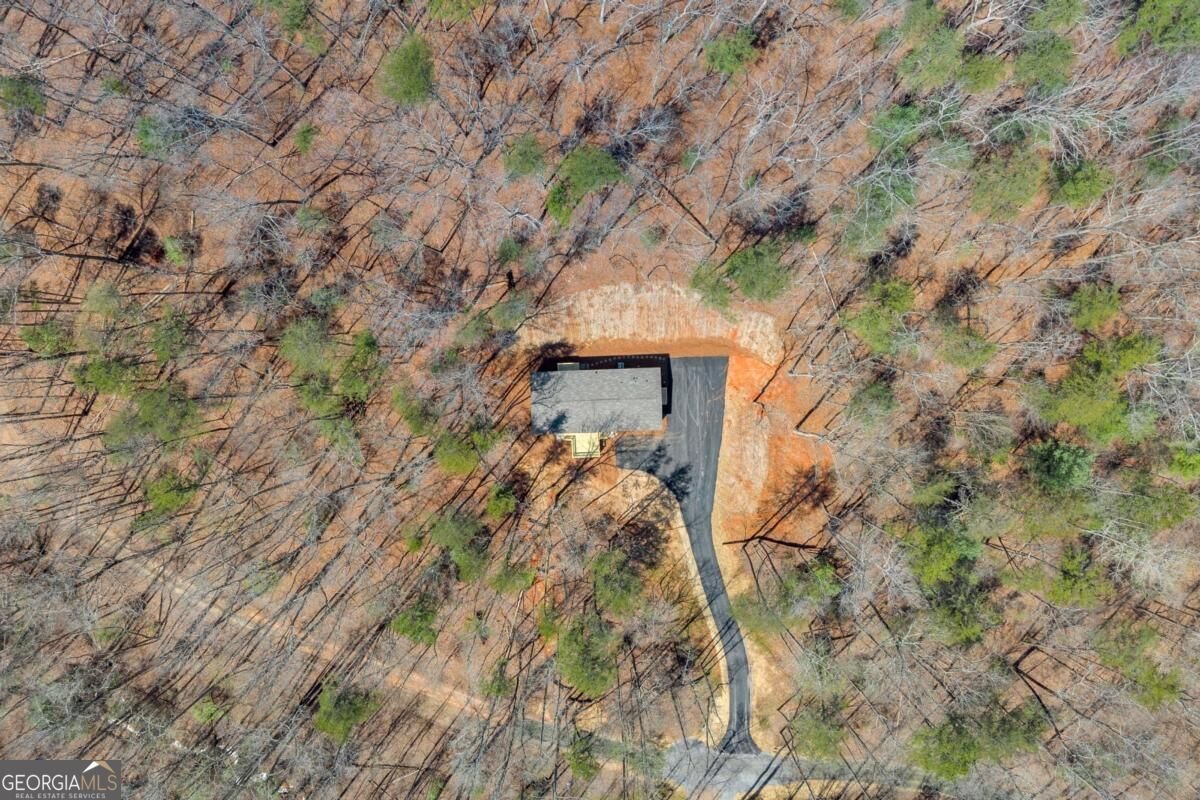 136 Poplar Drive Dawsonville - Photo 70