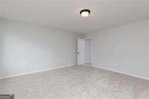 161 Chattahoochee Circle Locust Grove - Photo 15