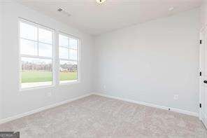 161 Chattahoochee Circle Locust Grove - Photo 18