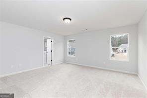 161 Chattahoochee Circle Locust Grove - Photo 30