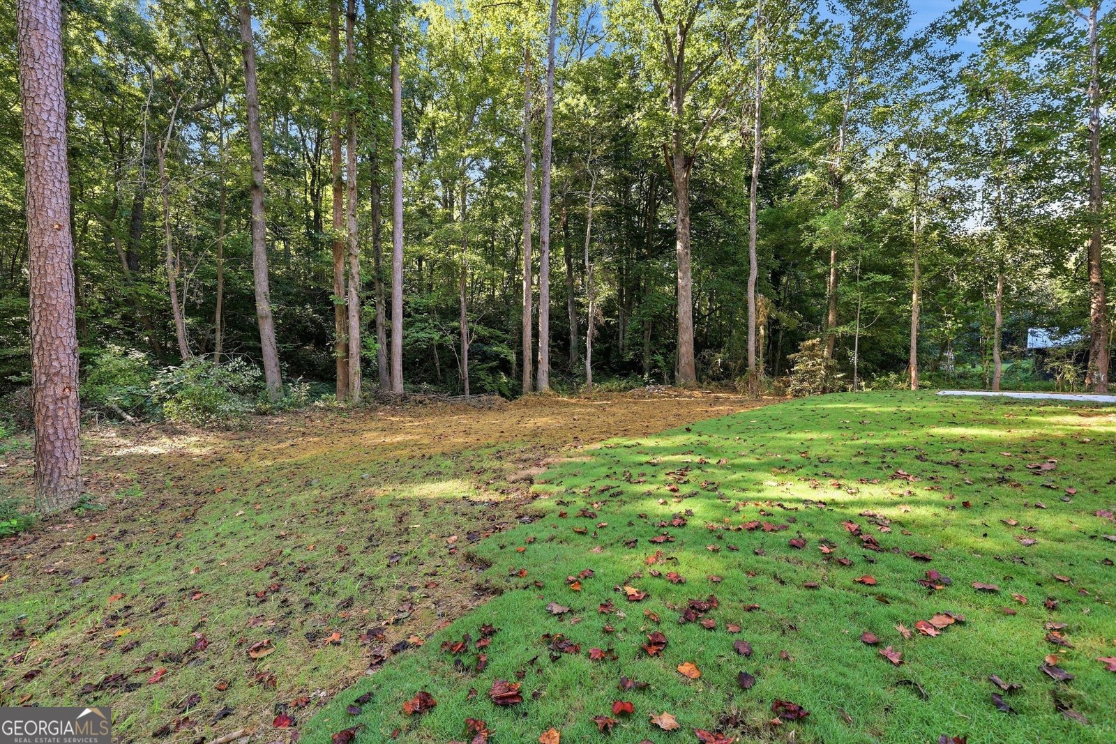 324 Fern Valley Drive Toccoa - Photo 49