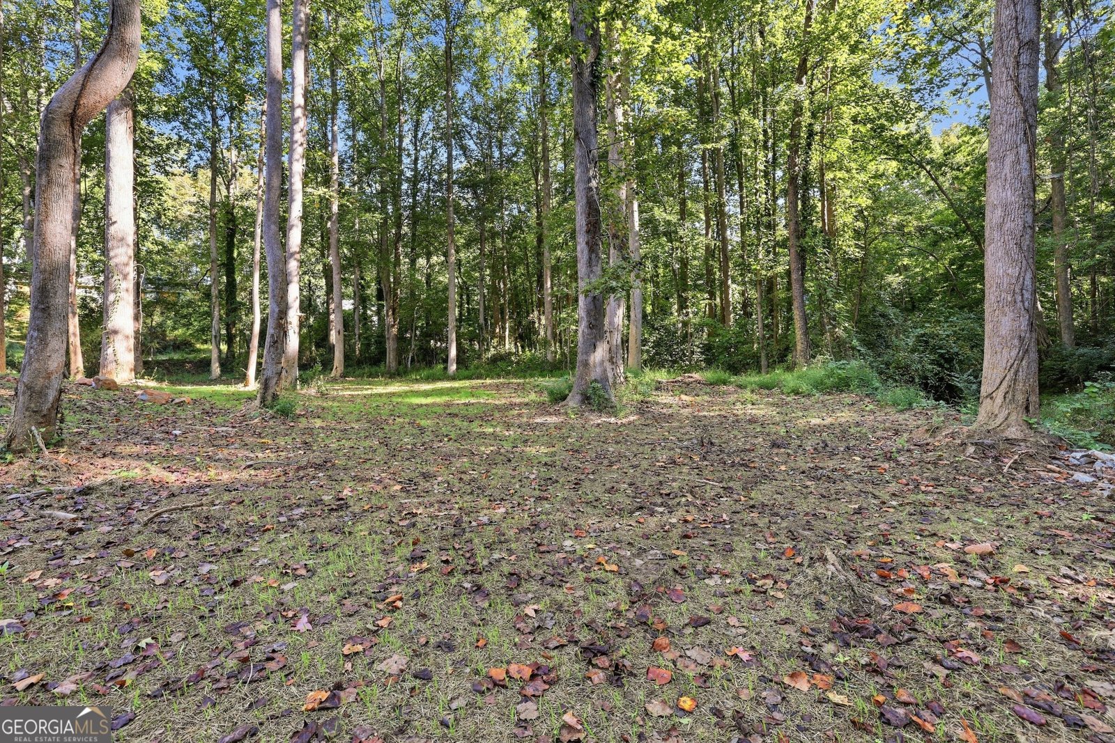 324 Fern Valley Drive Toccoa - Photo 50