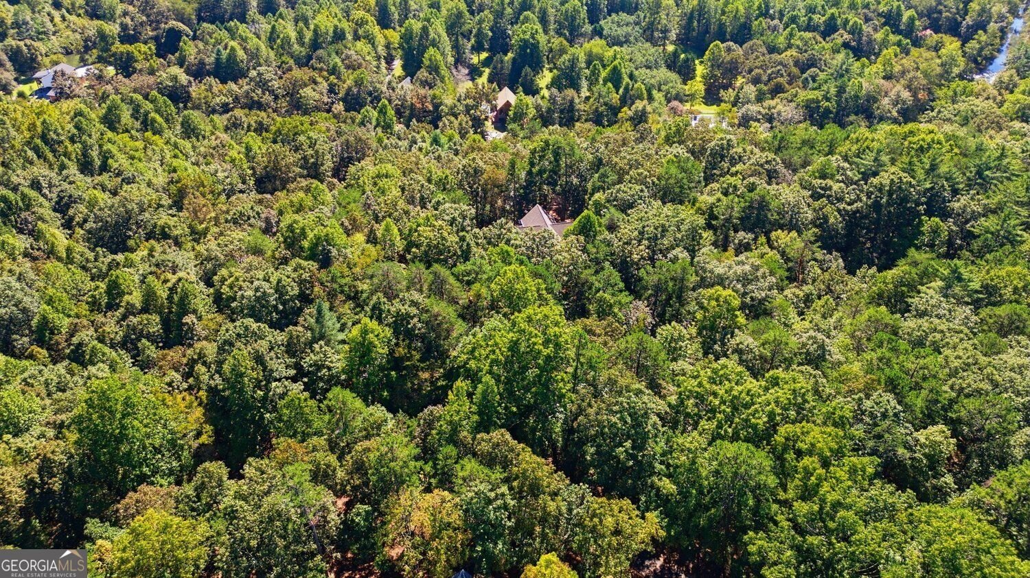 446 Old Village Road Sautee Nacoochee - Photo 47