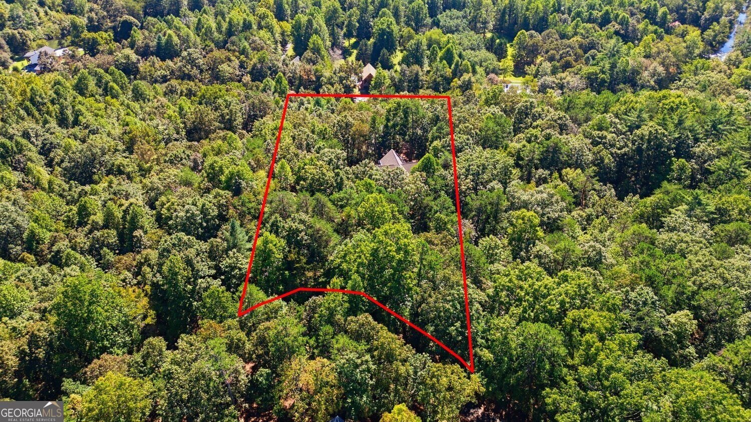446 Old Village Road Sautee Nacoochee - Photo 49