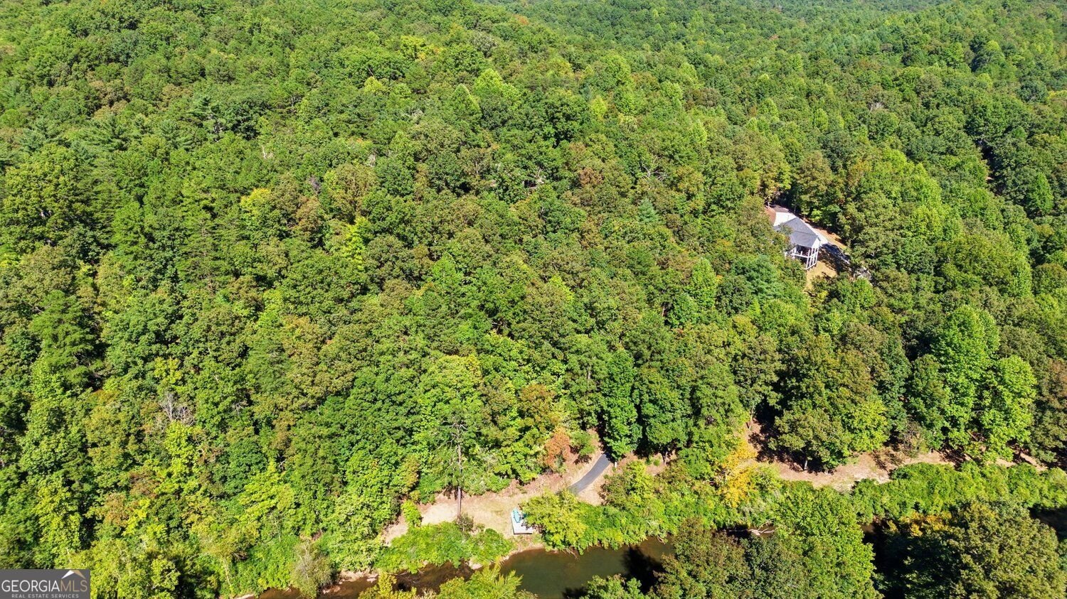 446 Old Village Road Sautee Nacoochee - Photo 51