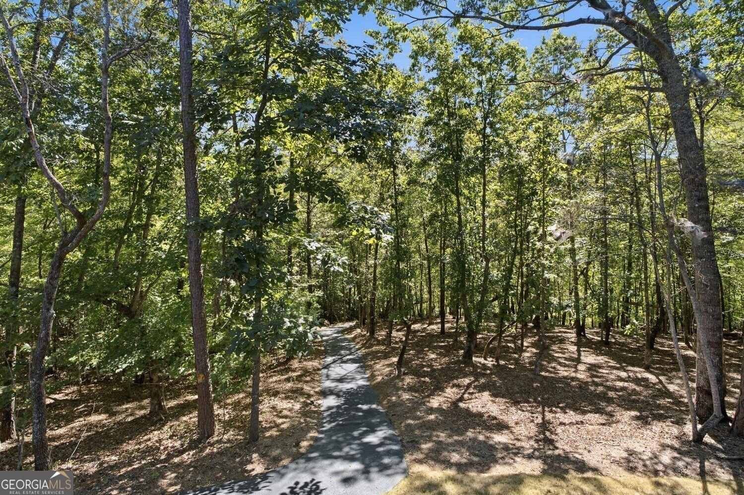 446 Old Village Road Sautee Nacoochee - Photo 67