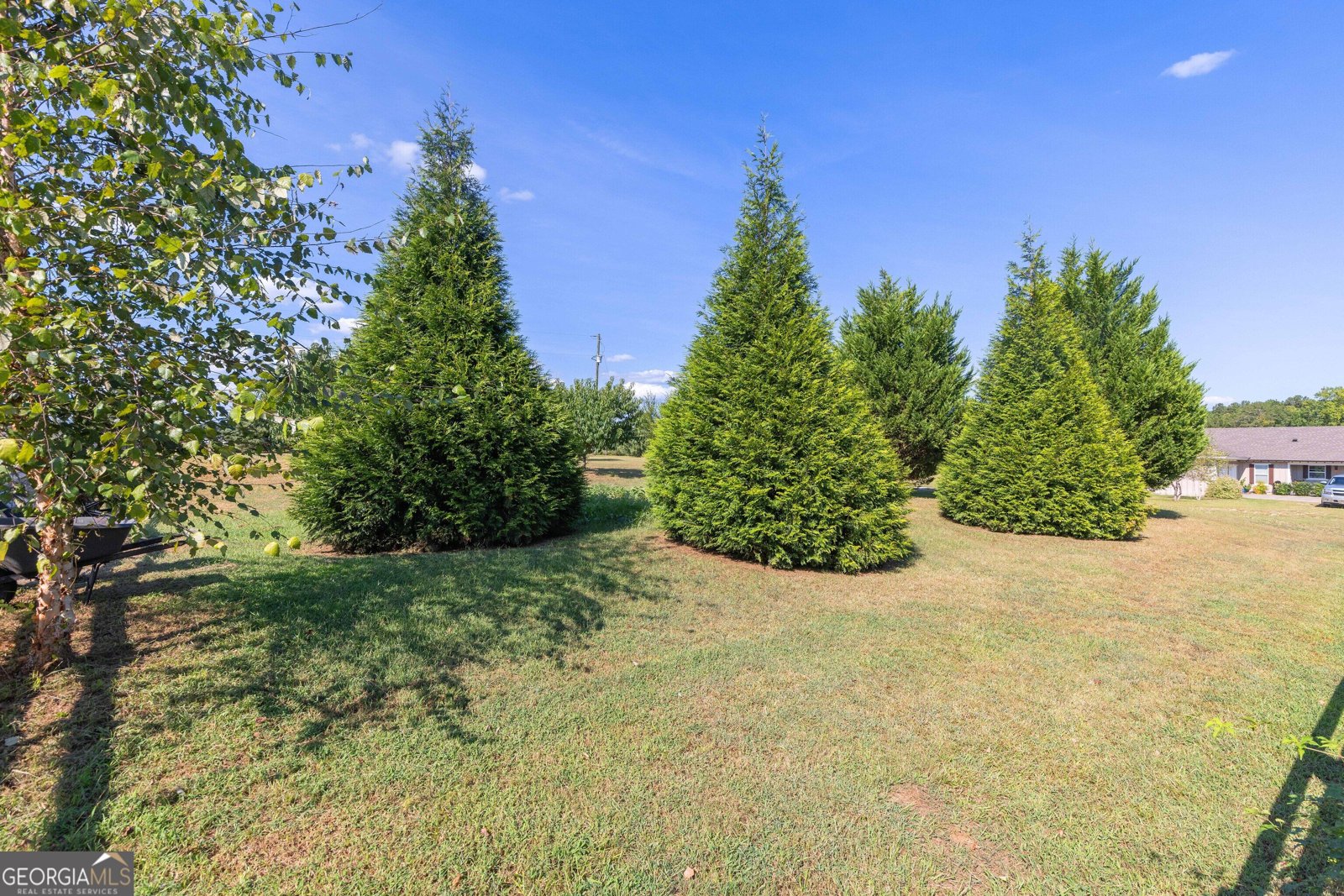 670 Bethany Church Road Pine Mountain - Photo 111