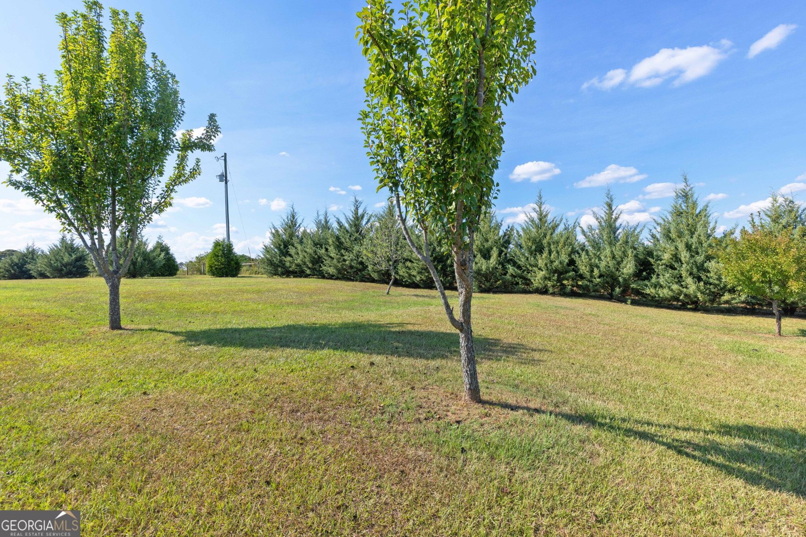 670 Bethany Church Road Pine Mountain - Photo 116
