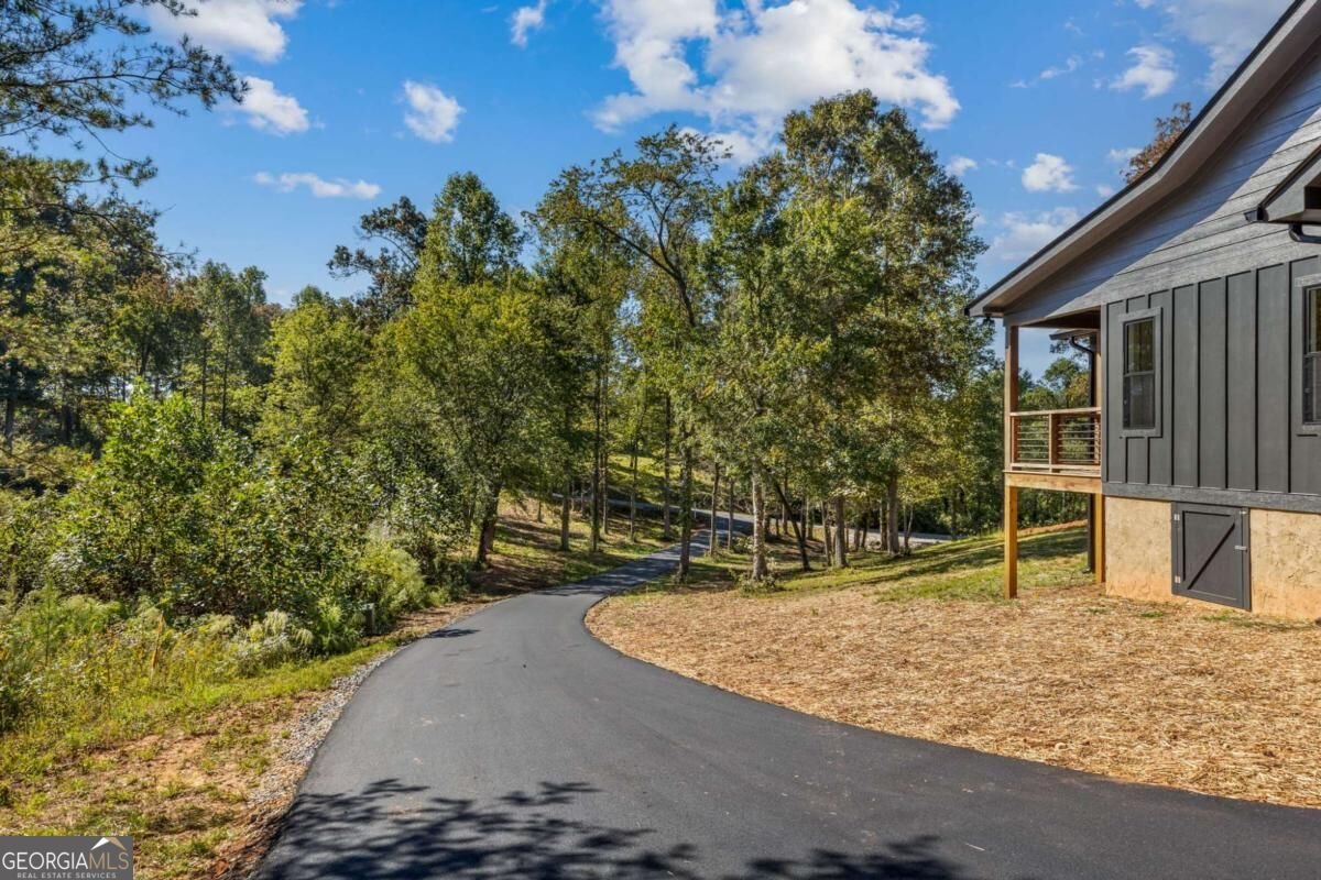 93 Arbor Creek Pointe Mineral Bluff - Photo 33