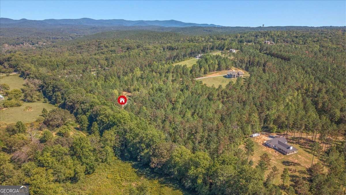 2519 Pleasant Hill Road Talking Rock - Photo 39