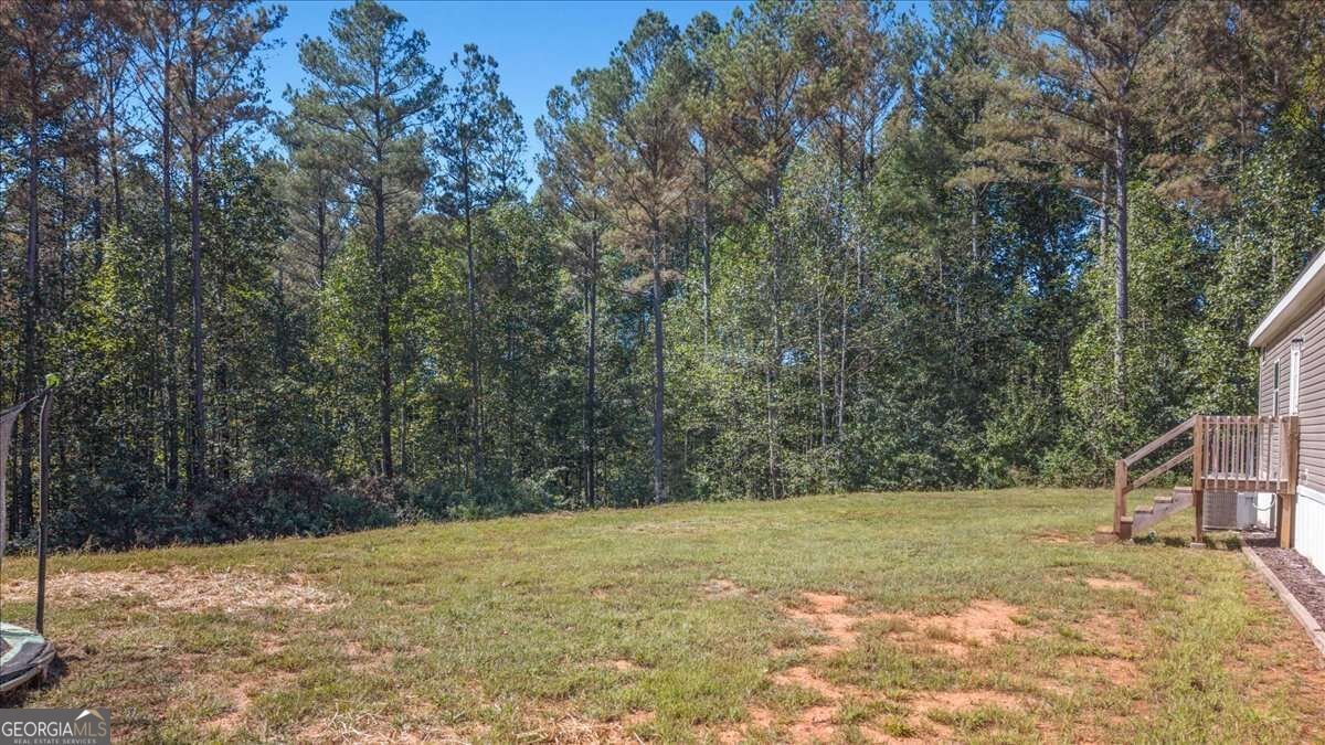 2519 Pleasant Hill Road Talking Rock - Photo 40
