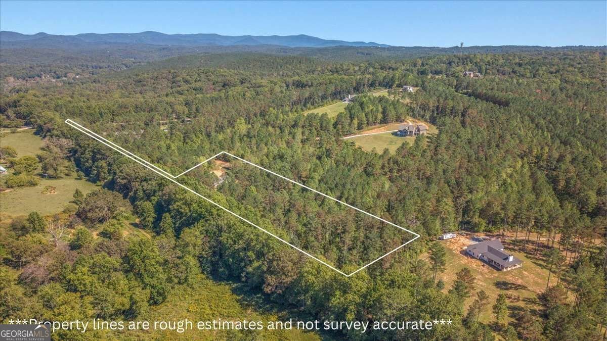 2519 Pleasant Hill Road Talking Rock - Photo 41