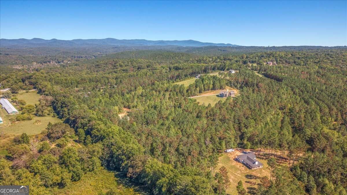 2519 Pleasant Hill Road Talking Rock - Photo 42