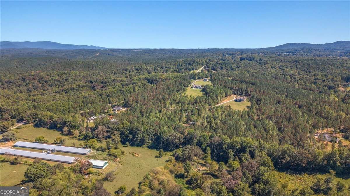 2519 Pleasant Hill Road Talking Rock - Photo 43