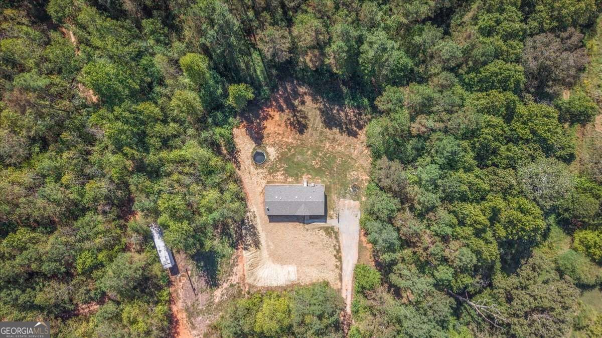 2519 Pleasant Hill Road Talking Rock - Photo 44