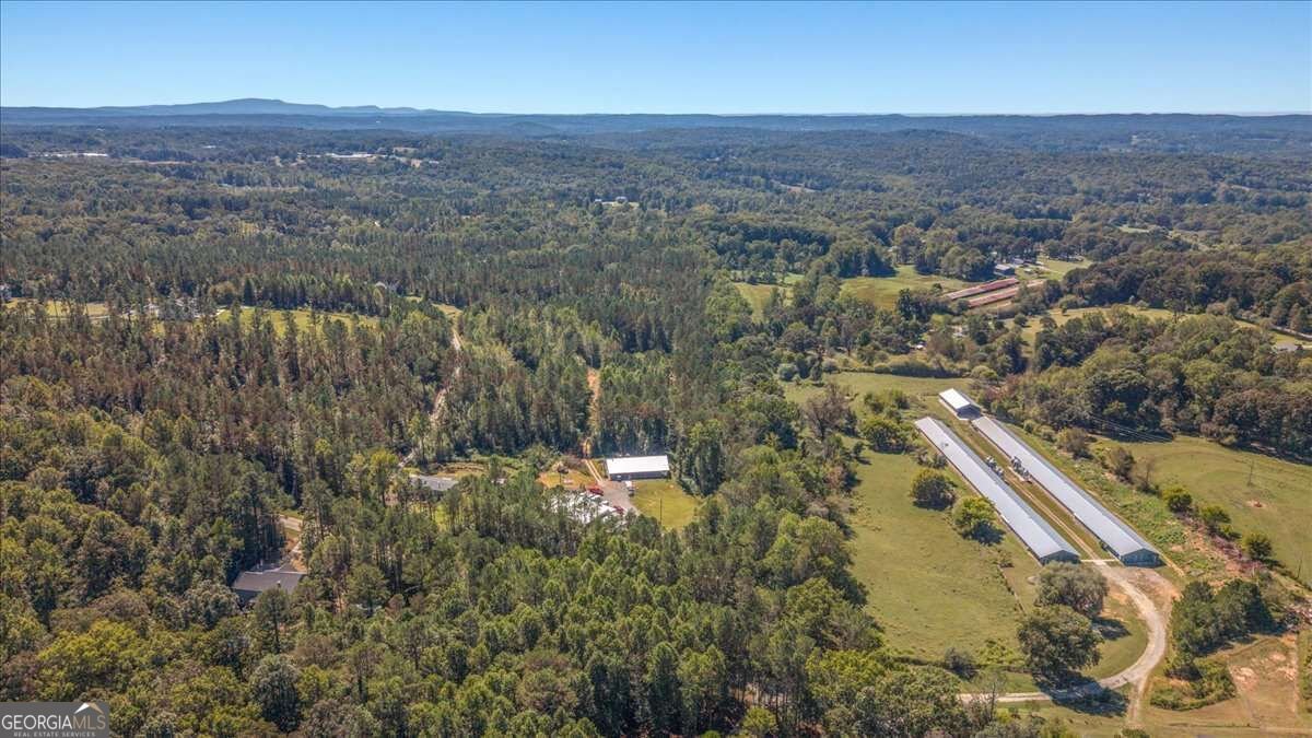 2519 Pleasant Hill Road Talking Rock - Photo 45