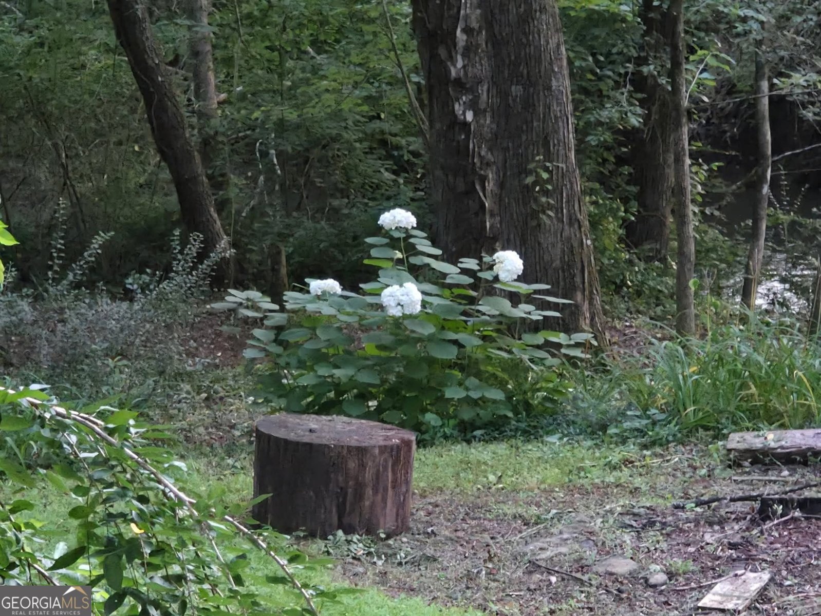 357 Little River Lane Rabun Gap - Photo 72
