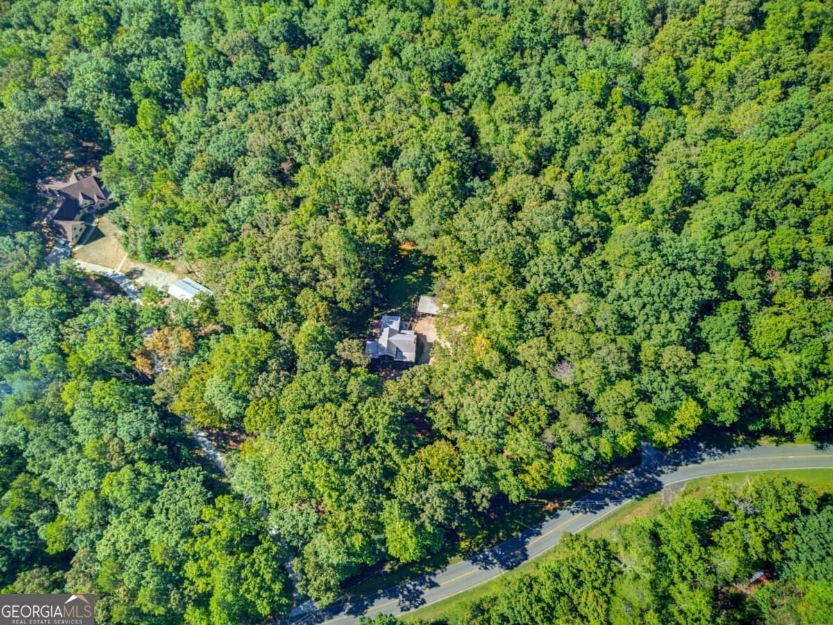 800 Seed Tick Road Dawsonville - Photo 35