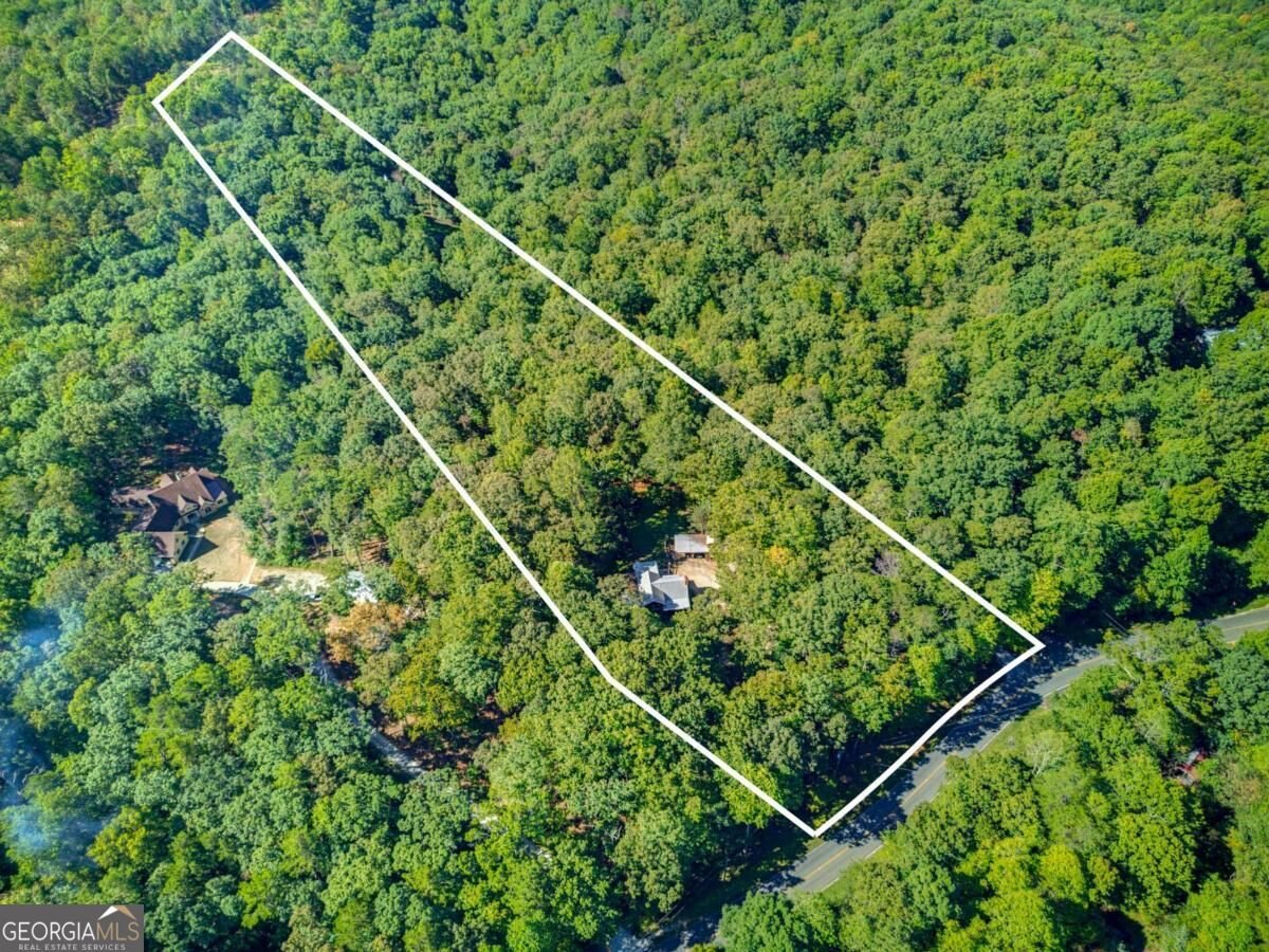 800 Seed Tick Road Dawsonville - Photo 36
