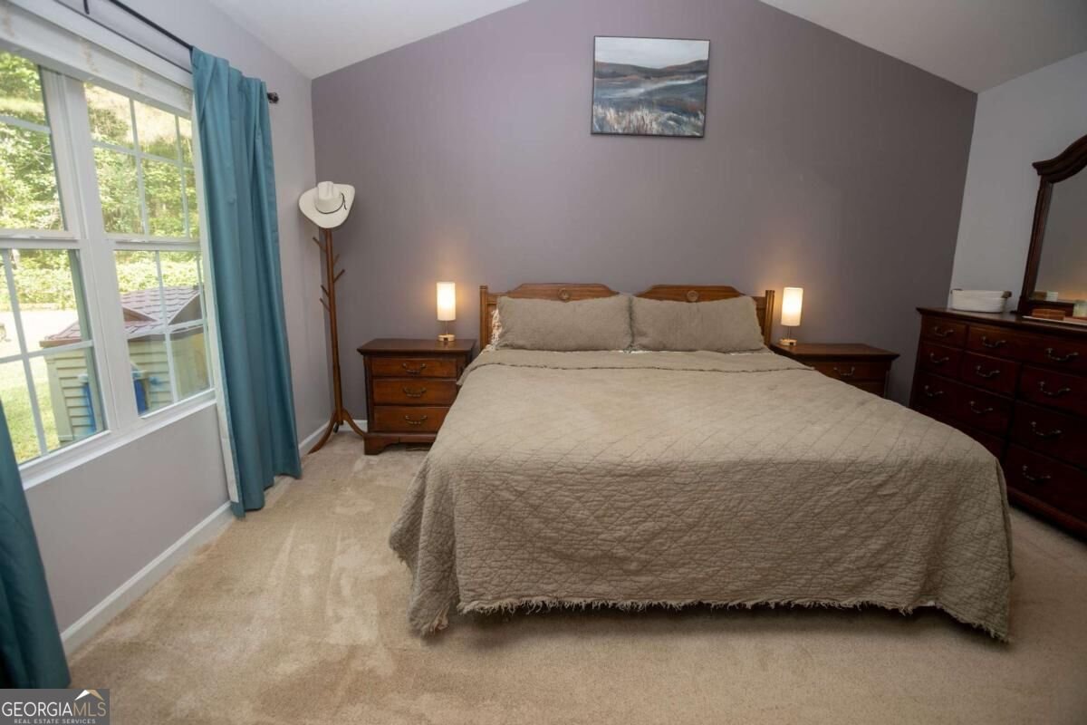 243 Pine Tree Drive Dawsonville - Photo 9